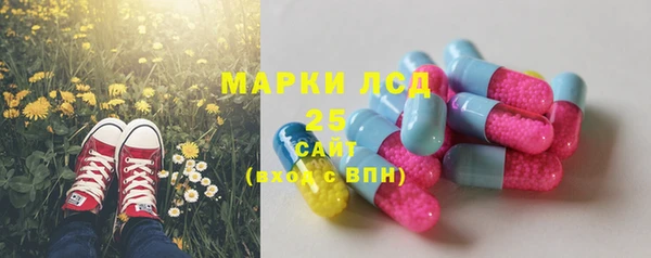 мяу мяу мука Алзамай