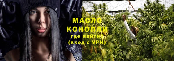 стаф Пересвет
