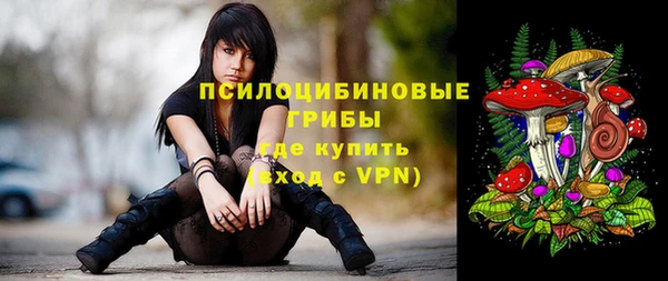 синтетический гашиш Алексин