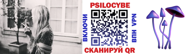 Галлюциногенные грибы Psilocybe  где найти   Нижние Серги 